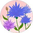 Rosemaryh Rankine profile picture
