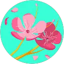 Claire profile picture