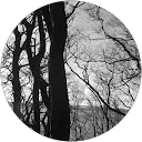 Ruth Main profile picture