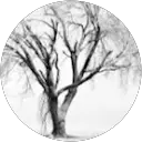 Louise Carr profile picture